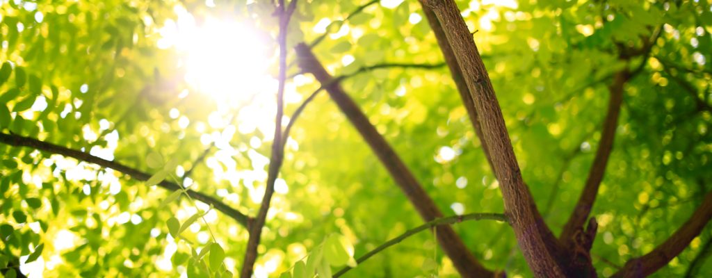 5 Tips to Improve Your Relationship With Light