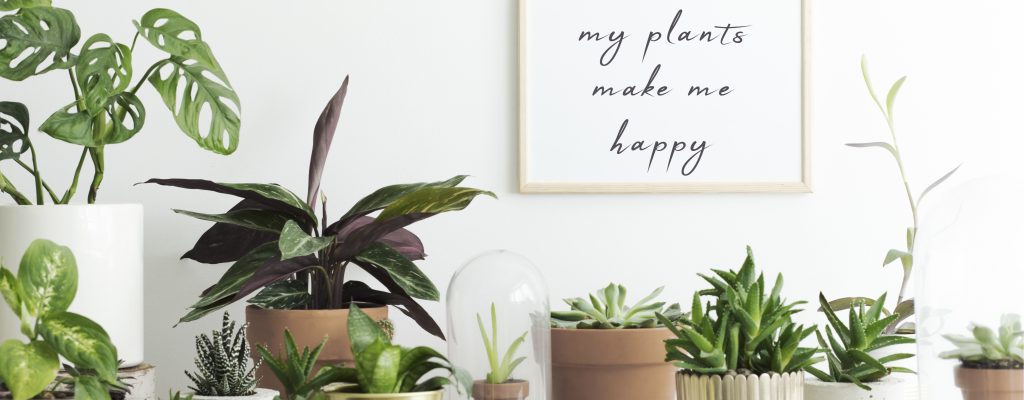 3 Ways to Make Your Home Feel Like Spring