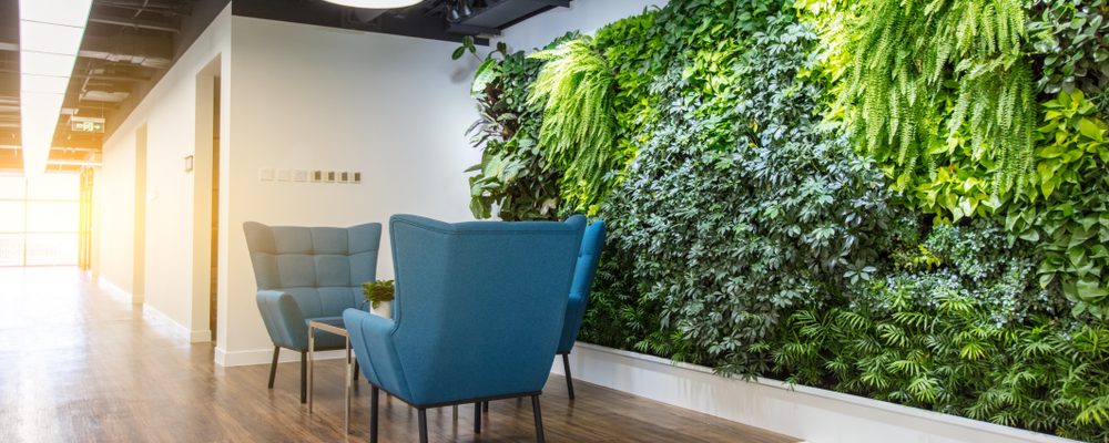 Embracing Nature: Illuminating Offices with Biophilic Design
